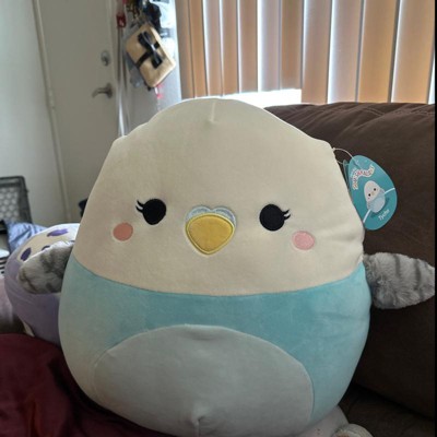 parakeet squishmallow