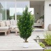 2 Pack Artificial Cedar Topiary Trees, Potted Fake Spiral Topiary Plants for Outdoor/Indoor Decor - 3 of 4