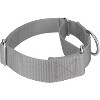 Country Brook Petz 1 1/2 Inch Martingale Heavyduty Nylon Dog Collar - 4 of 4