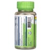 Solaray True Herbs, Okra, 100 VegCaps (400 mg per Capsule) - 3 of 4