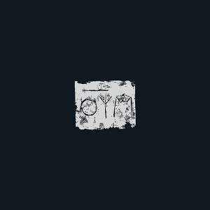 A Swarm of the Sun - The Woods (CD) - 1 of 1