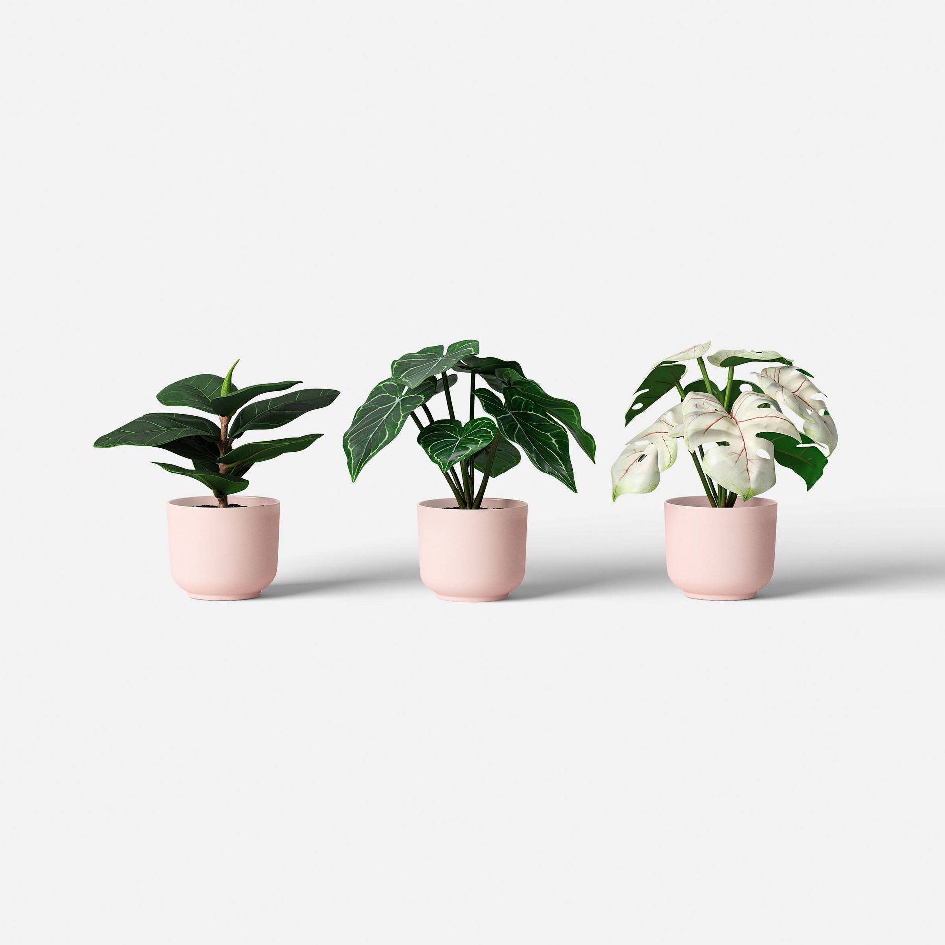 7.25" Fashion Plant Multipack in Pink Pot - Room Essentials™