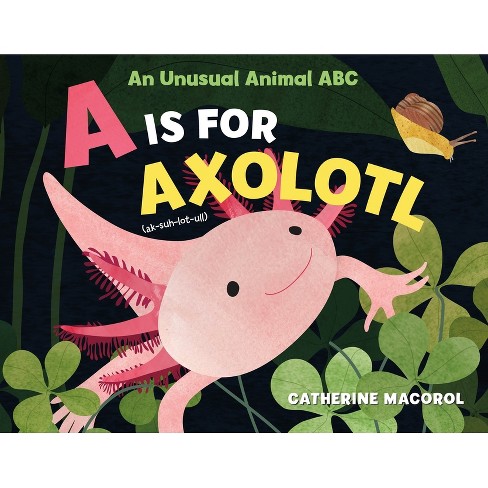 A is for Axolotl: An Unusual Animal ABC - by Catherine Macorol (Hardcover)