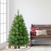 Puleo 4.5' Artificial Washington Pine Christmas Tree - 3 of 4