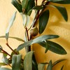 Plum & Post 16" Round Mediterranean Olive Theme Faux Accent Wreath for Doorway Decor - 3 of 3