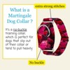 Country Brook Petz HossFit Jr Wide Martingale Dog Collar - Affection Collection - 2 of 4