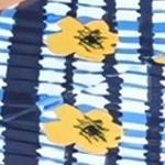 sunflower picnic