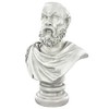 Design Toscano Bust Planters of Antiquity Statues: The Philosopher Socrates - 4 of 4