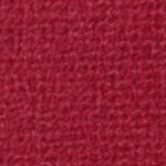 tampa bay buccaneers