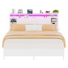 Aheaplus Bed Frame with Charging Station and RGB LED Lights - 2 of 4
