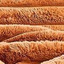 copper tan