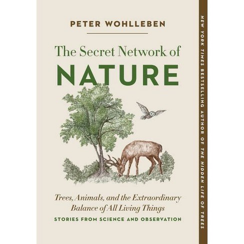 The Outdoor Scientist: The Wonder of Observing the Natural World