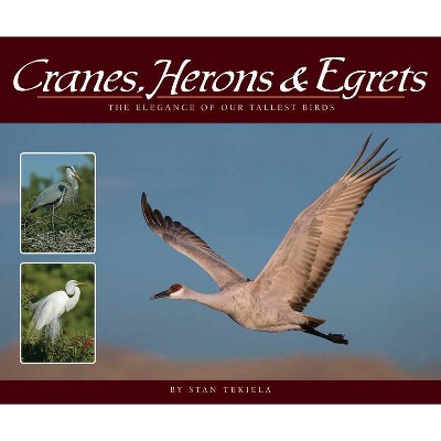 Cranes, Herons & Egrets - (Wildlife Appreciation) by  Stan Tekiela (Paperback)