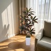 Artificial Dracaena Plant in White Pot for Living Room and Office Decor - 2 of 4