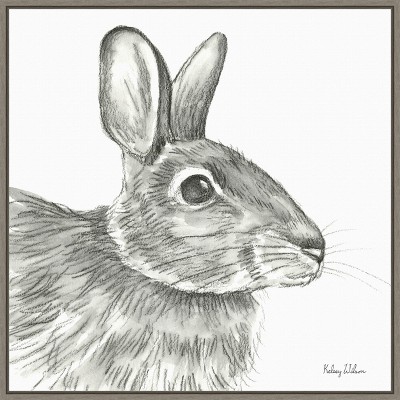 Graphite Rabbit Sketch Framed Canvas Wall Art 22" x 22"