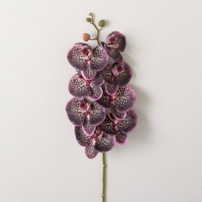 Sullivans Artificial Plum Phalaenopsis Spray 35"H
