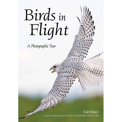 Birds in Flight - by  Rob Palmer (Paperback)