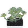 Unique Bargains Artificial Plants Plastic Green 2.2"x2.2"x2.56" 1 Pcs - 4 of 4
