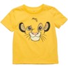 Disney Lion Guard Lion King Simba Timon Pumbaa Rafiki 3 Pack T-Shirts Toddler to Big Kid - 2 of 4