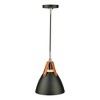 Artcraft Lighting Tote 1 - Light Pendant in  Black - 2 of 4