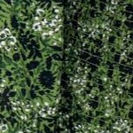 green vine ditsy