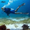 Bimini H2O Gear Alcyon Snorkeling Fins Fully Adjustable fits 9 and half to 14 - 4 of 4