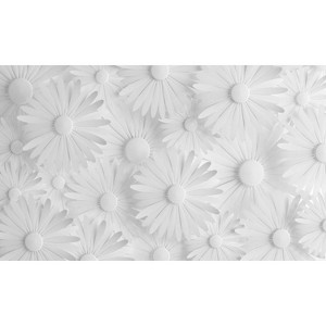 Modern Daisy Peel and Stick Wallpaper Mural Gray - RoomMates - 1 of 4