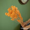 Uniquewise Preserved Real Floral Stems Chic Vase Fillers & Accents for Bouquets Centerpieces - 4 of 4
