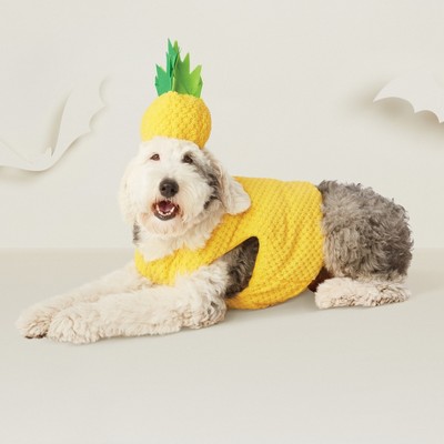 Pineapple dog 2024 toy target