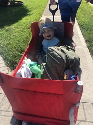 Radio Flyer 3 In 1 Ez Fold Wagon With 