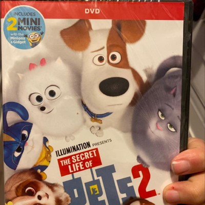 The Secret Life of Pets 2 (Blu-ray + DVD + Digital)