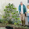 Tangkula Metal Garden Trellis for Climbing Plants 2/4/6 Pack Fence Trellis Panels 71” Tall Retro Style Cucumber Trellis - 4 of 4