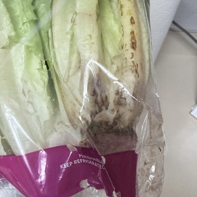 Guest review image 2 of 2, zoom in