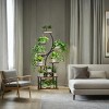 Plant Shelf With Grow Lights,8 Tiered Plant Stand,Plant Stand For Indoor Plants,S-Shaped Plant Rack For Livingroom Furniture Indoor -The Pop Home - 3 of 4