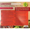 Unique Gardener: Carnivorous Growarium - DIY Glass Terrarium Kit, Venus Fly Trap - 3 of 4