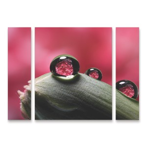 Trademark Fine Art Gordon Semmens Dew Drops Macro 06 3 Piece Panel Set Art - 1 of 3