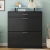 TIRAMISUBEST Slim Entryway Organizer with 2 Flip Drawers, Shoe Cabinet with Drawer, Free Standing Tipping Bucket Shoe Rack with LED Light - 3 of 4