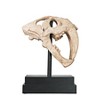 Design Toscano Saber-toothed Tiger Skull Artifact - 4 of 4