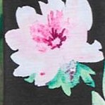 black bloom