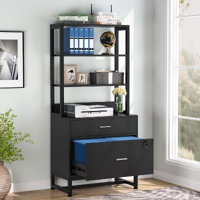 Black Vertical 2-Drawer Lockable File Cabinet with Shelves