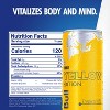 Red Bull Tropical Energy Drink - 8.4 fl oz Cans - 2 of 4