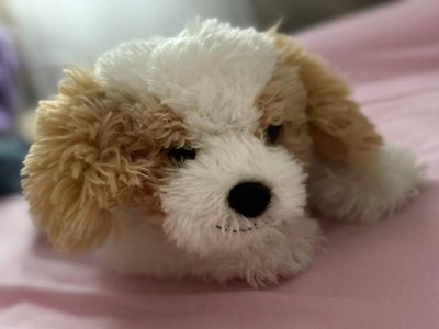 Guest review image 1 of 1, zoom in