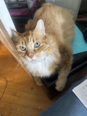 Guest review image 2 of 6, zoom in