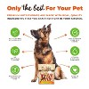 Nutri Chomps Dog Chews Mixed Flavor Braid Chicken, Peanut Butter and Milk Dog Treats - 10ct - 3 of 4