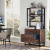 Tribesigns 2 Drawers Vertical File Cabinet, Filing Cabinet Printer Stand with Open Storage Shelves - 3 of 4