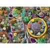 Anatolian Cacti Pots 1000 pc   Jigsaw Puzzle 1122 - 2 of 4