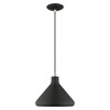 Livex Lighting Metal Shade 1 - Light Pendant in  Black - 3 of 4