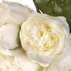 12" Peony Bundle White & Cream - National Tree Company - 3 of 4