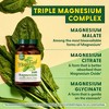 MegaFood Magnesium Supplement, 300mg Magnesium Glycinate, Citrate & Malate Vegetarian Capsules - 60ct - 4 of 4