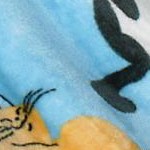 cat blue